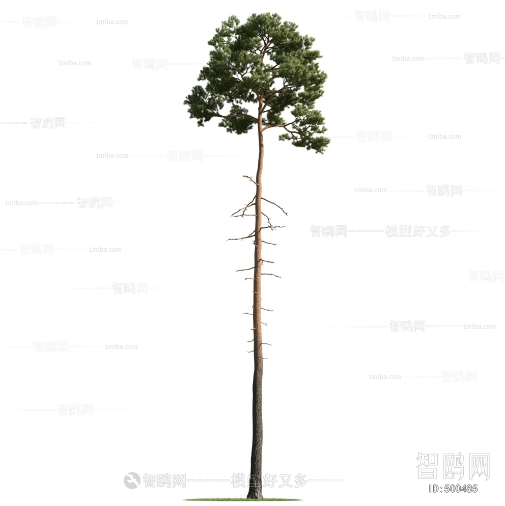 Modern Tree