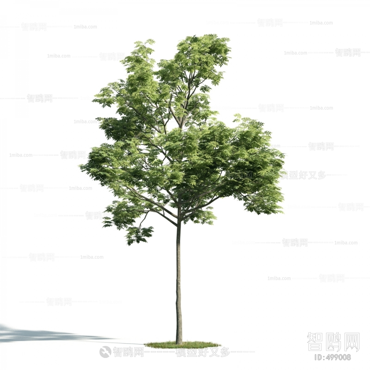 Modern Tree