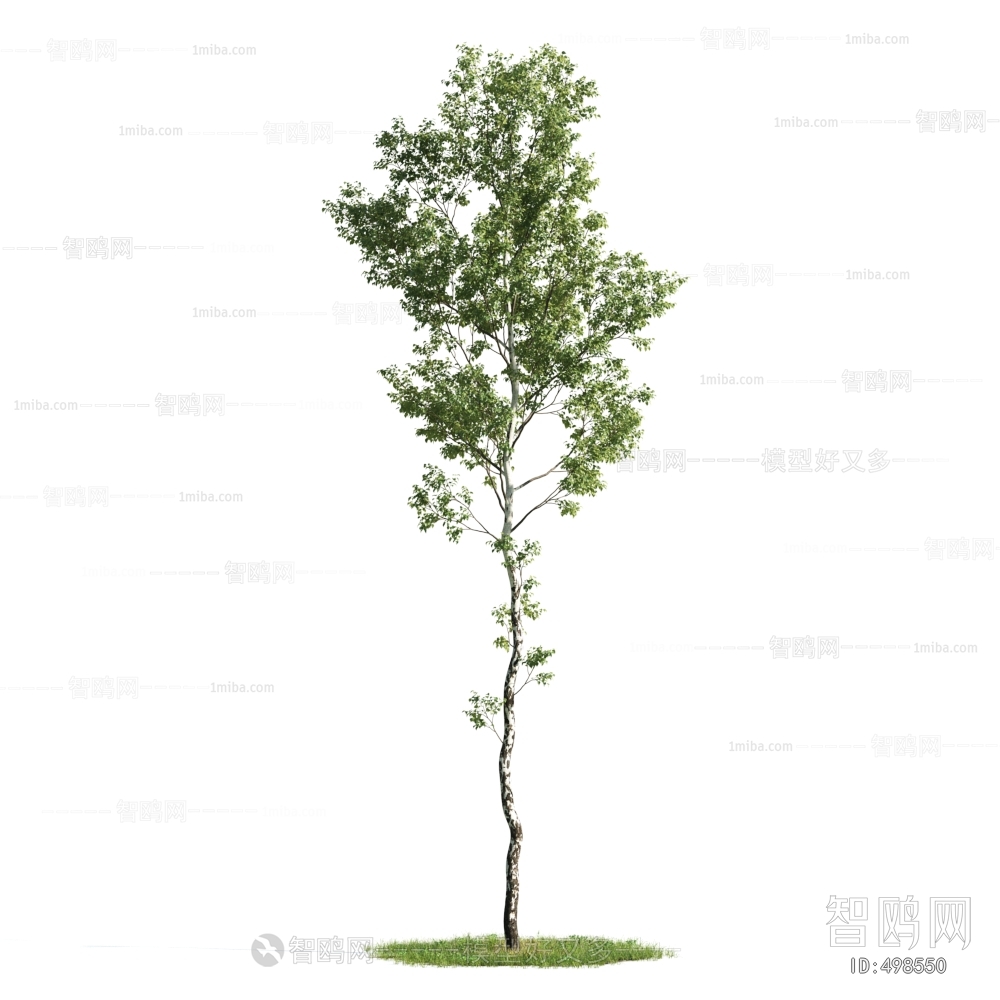 Modern Tree