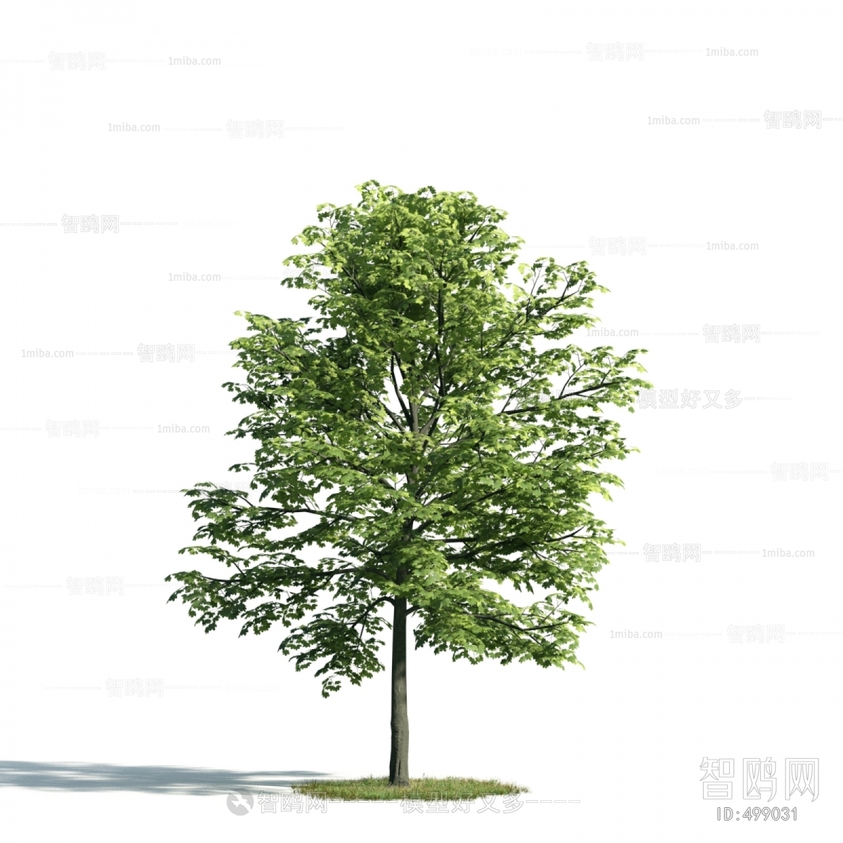 Modern Tree