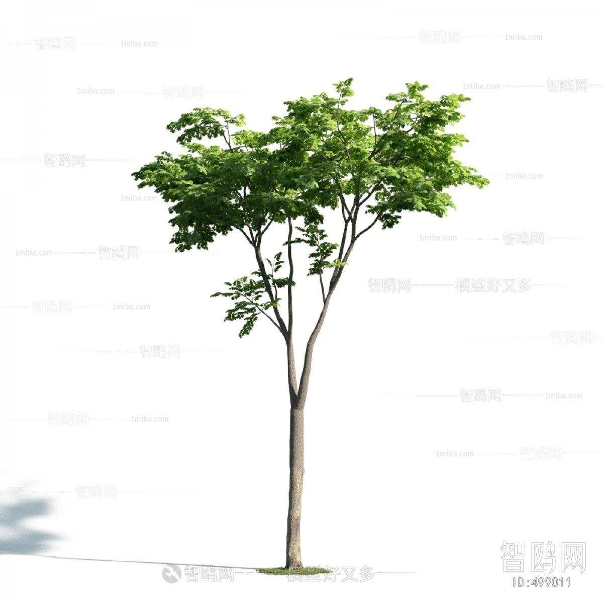 Modern Tree