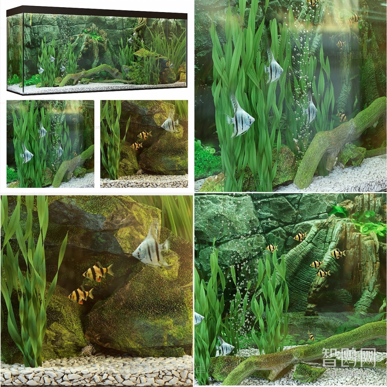 Modern Fish Tank