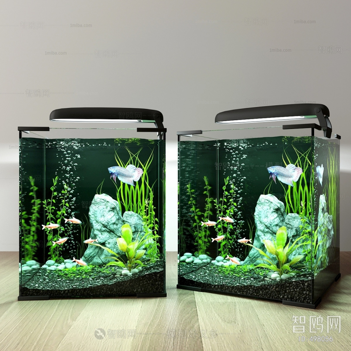 Modern Fish Tank