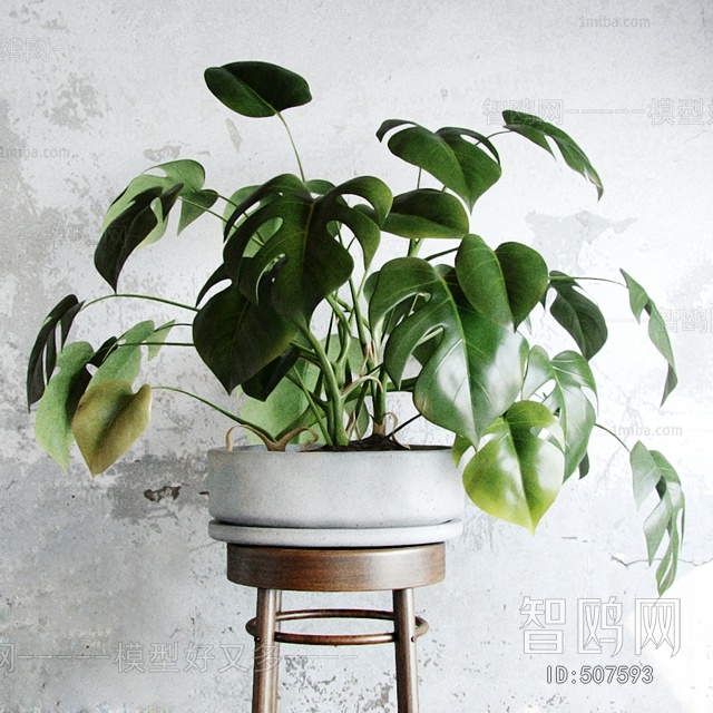 Modern Potted Green Plant