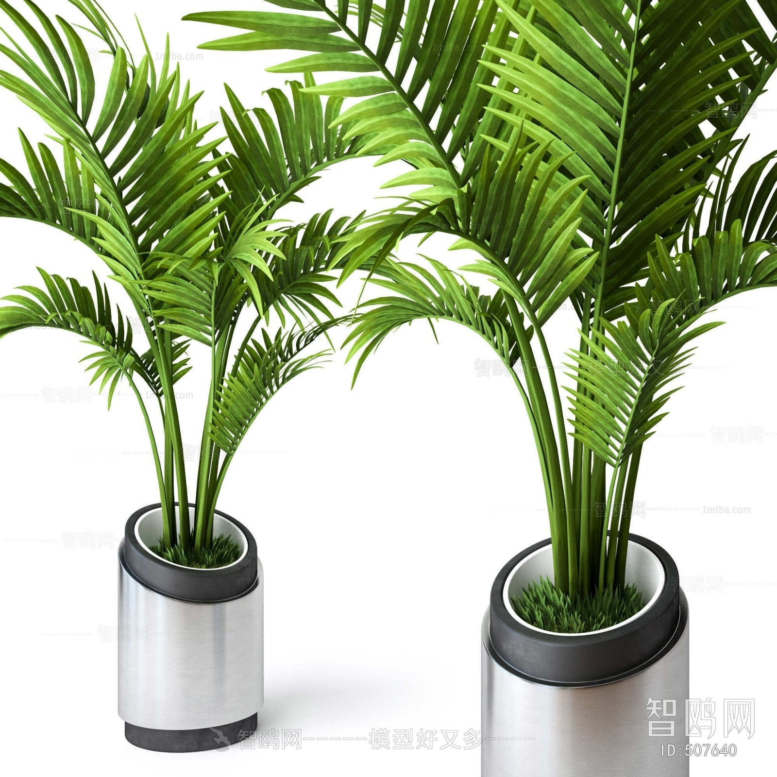 Modern Potted Green Plant