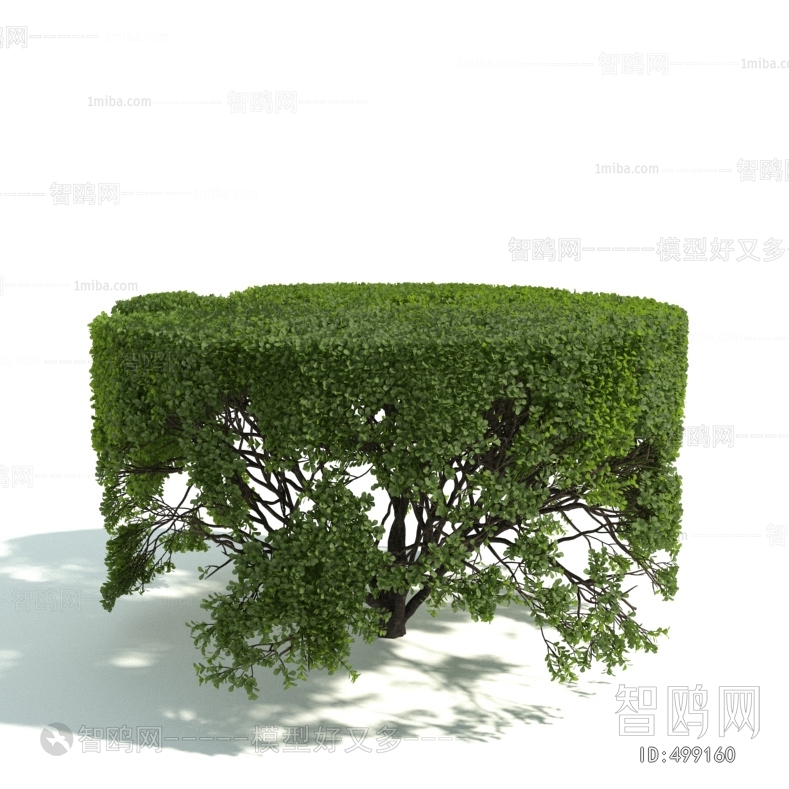 Modern Shrubbery