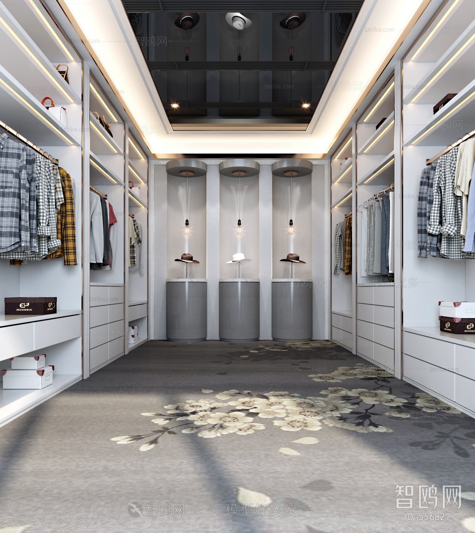 Modern Clothes Storage Area