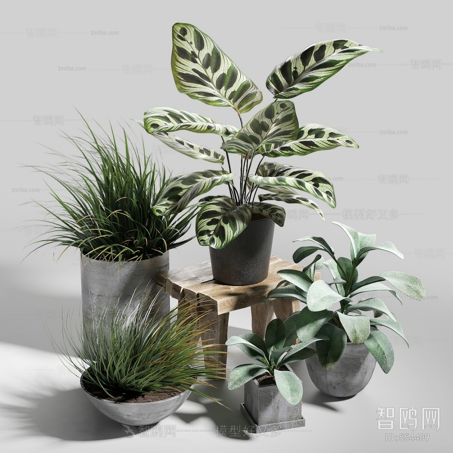 Modern Potted Green Plant