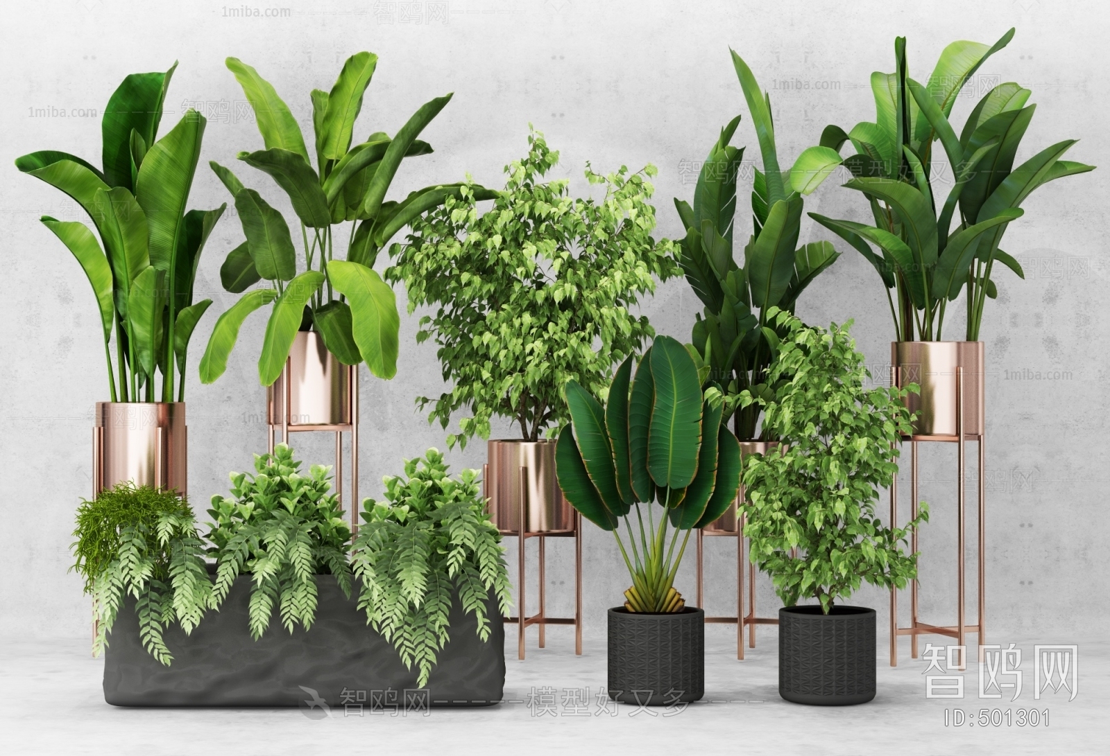 Modern Potted Green Plant