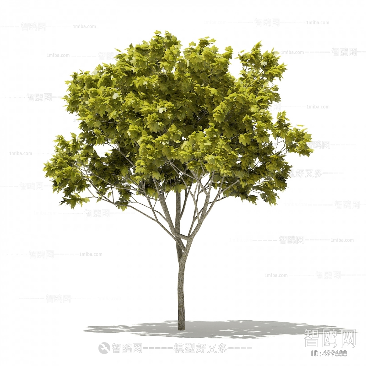 Modern Tree