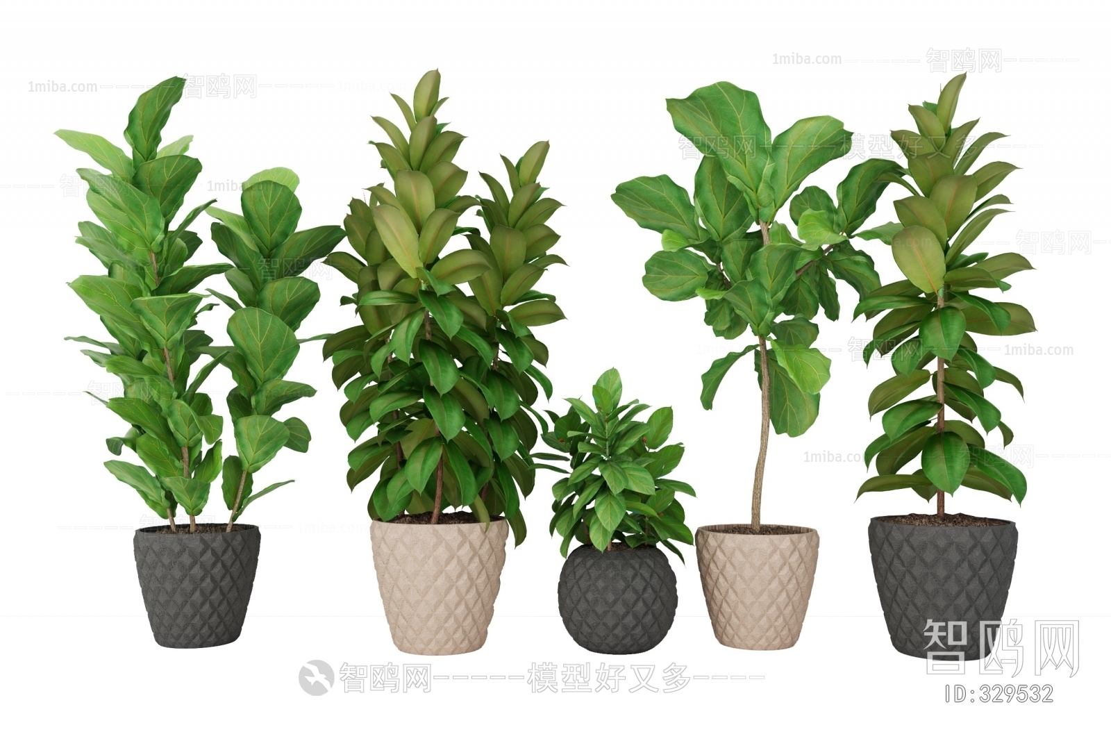 Modern Potted Green Plant