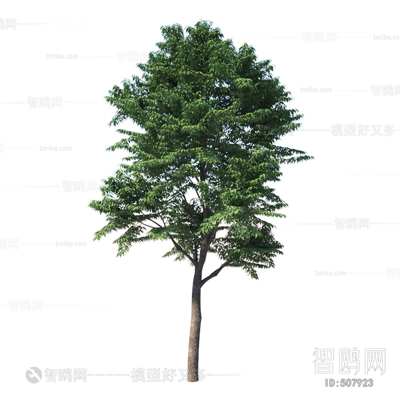 Modern Tree