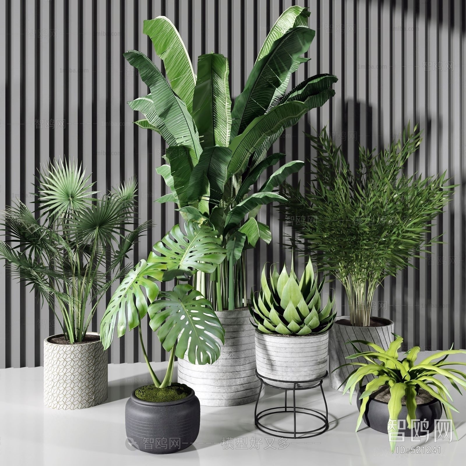 Modern Potted Green Plant