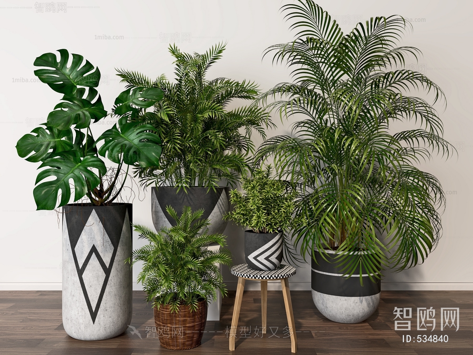 Modern Potted Green Plant