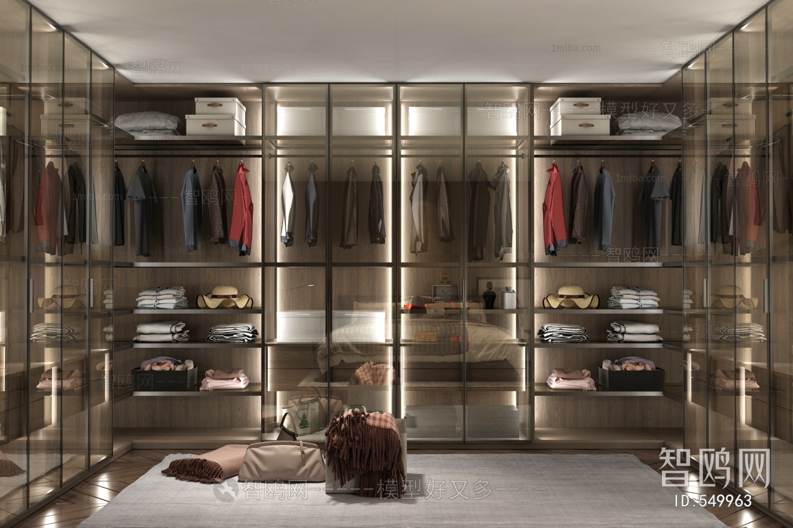 Modern Clothes Storage Area