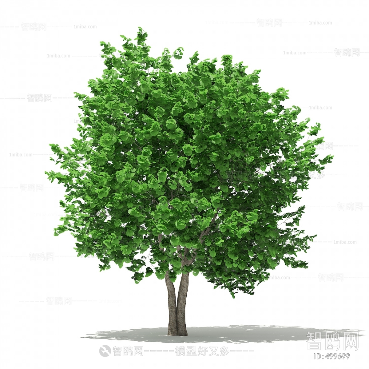 Modern Tree