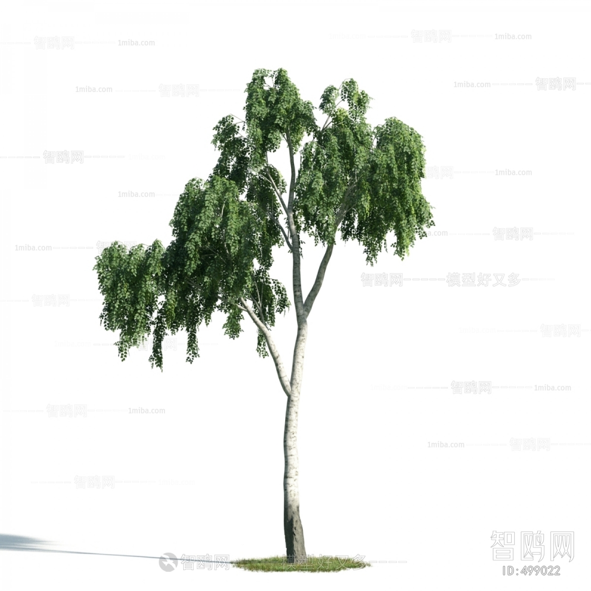 Modern Tree