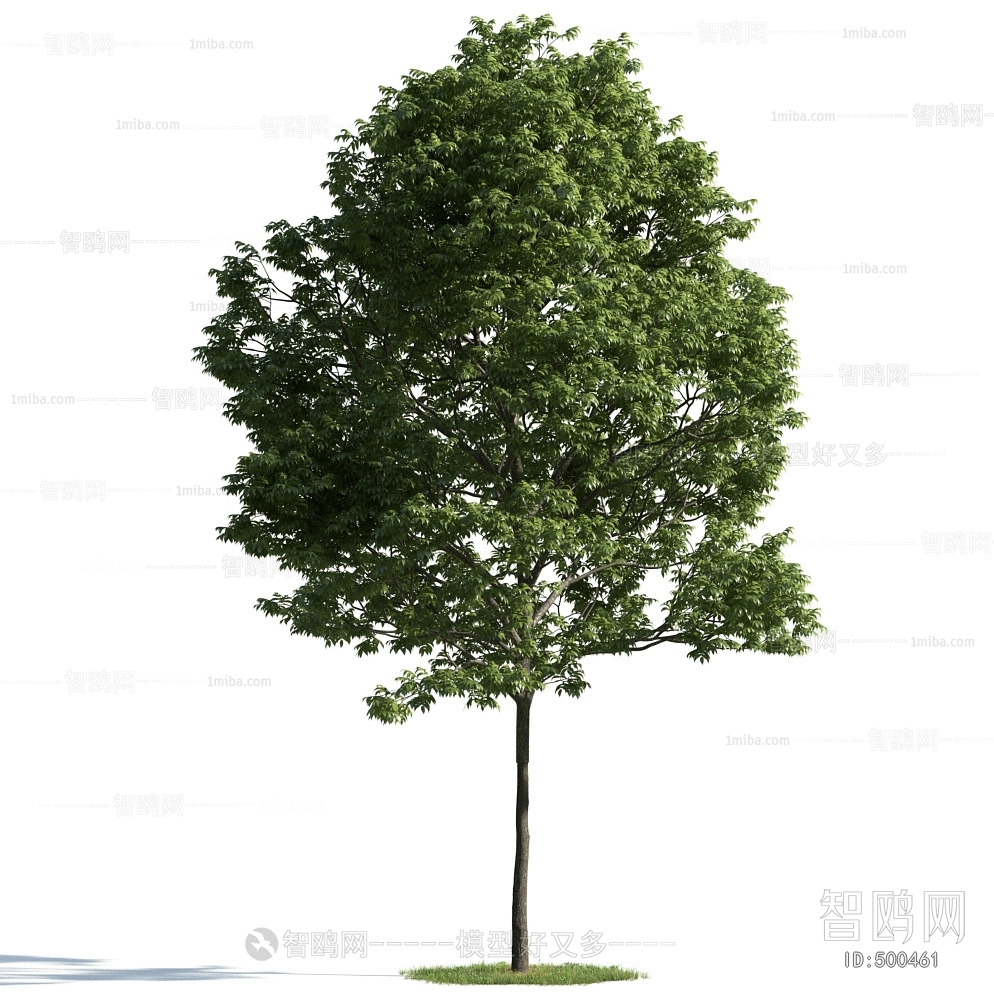 Modern Tree