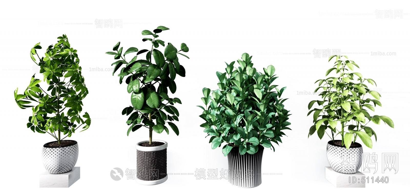 Modern Potted Green Plant