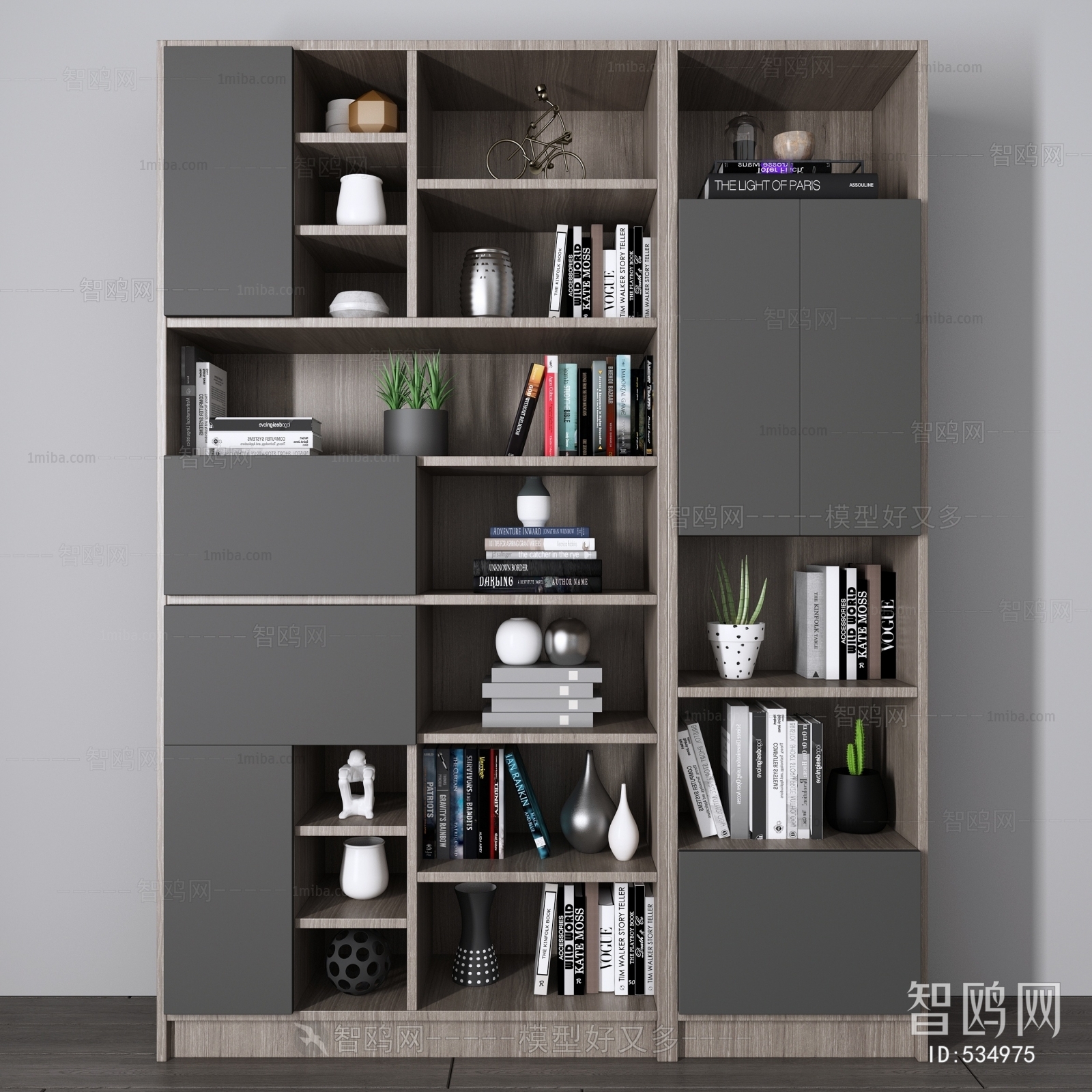 Modern Bookcase