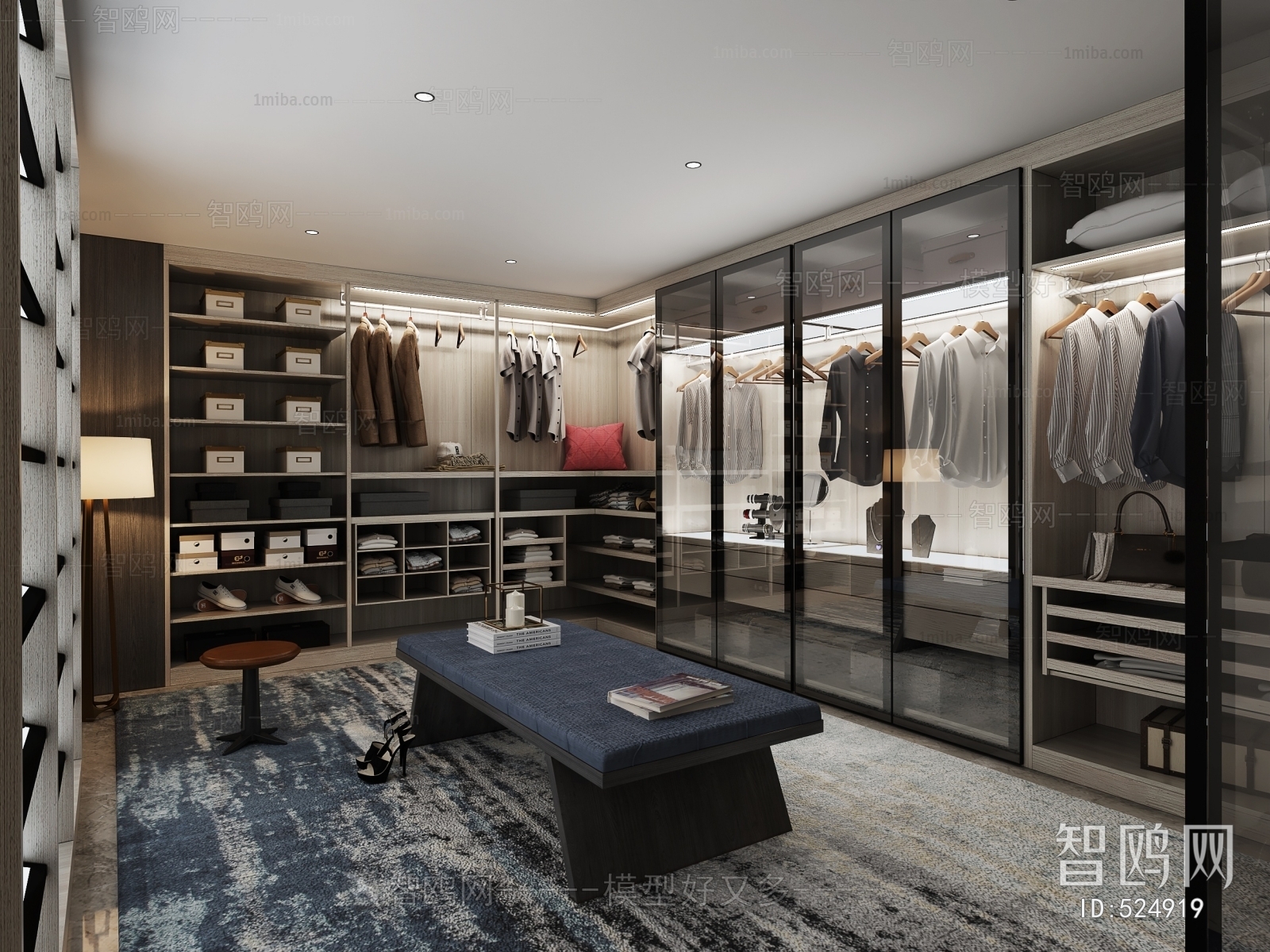 Modern Clothes Storage Area