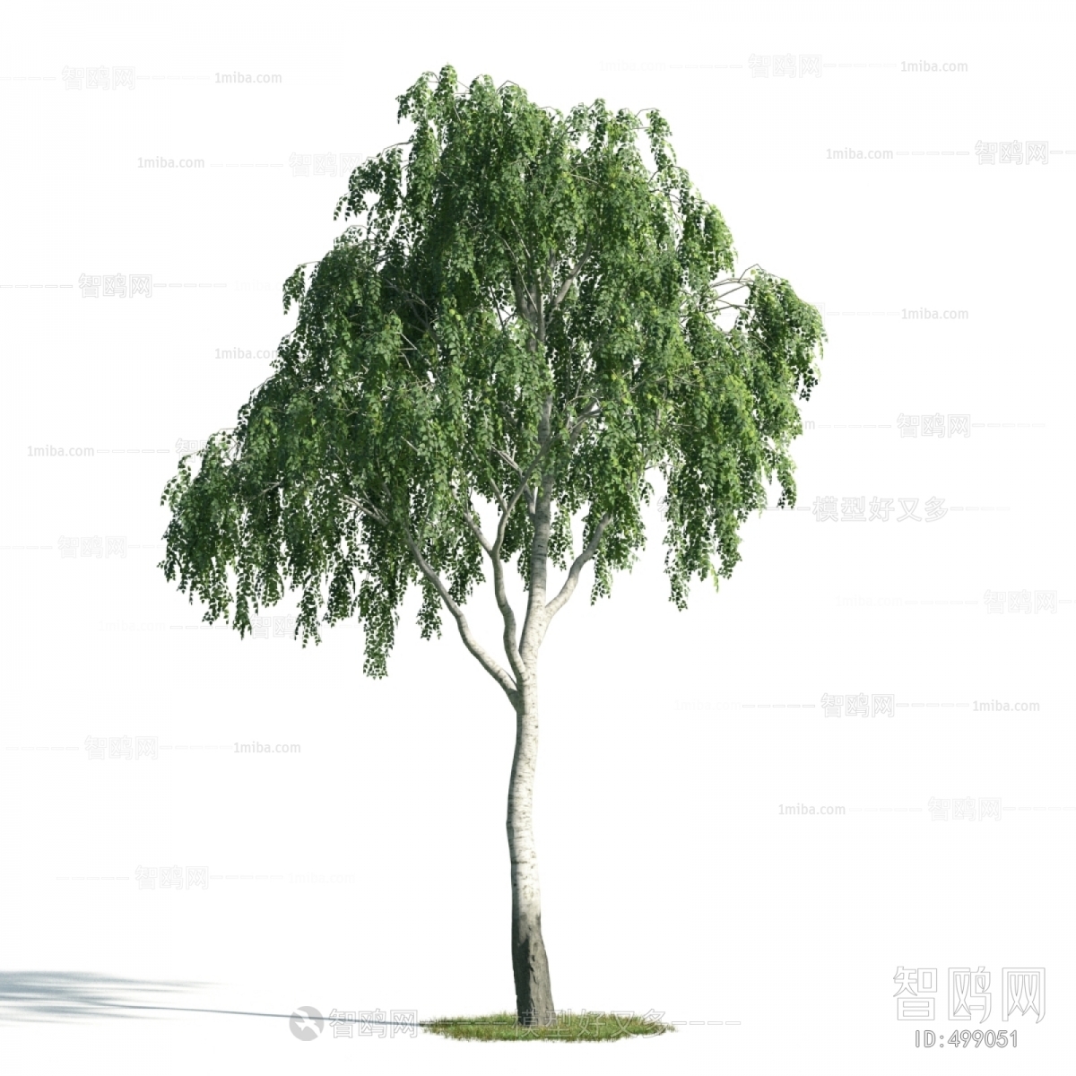 Modern Tree