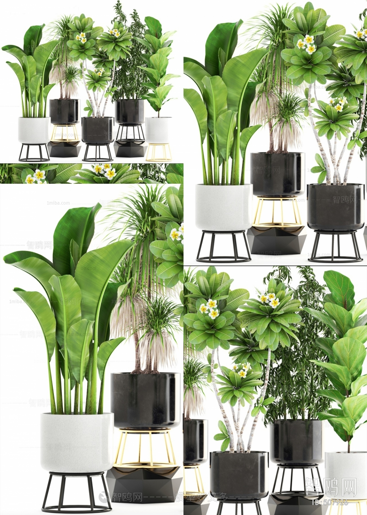 Modern Potted Green Plant