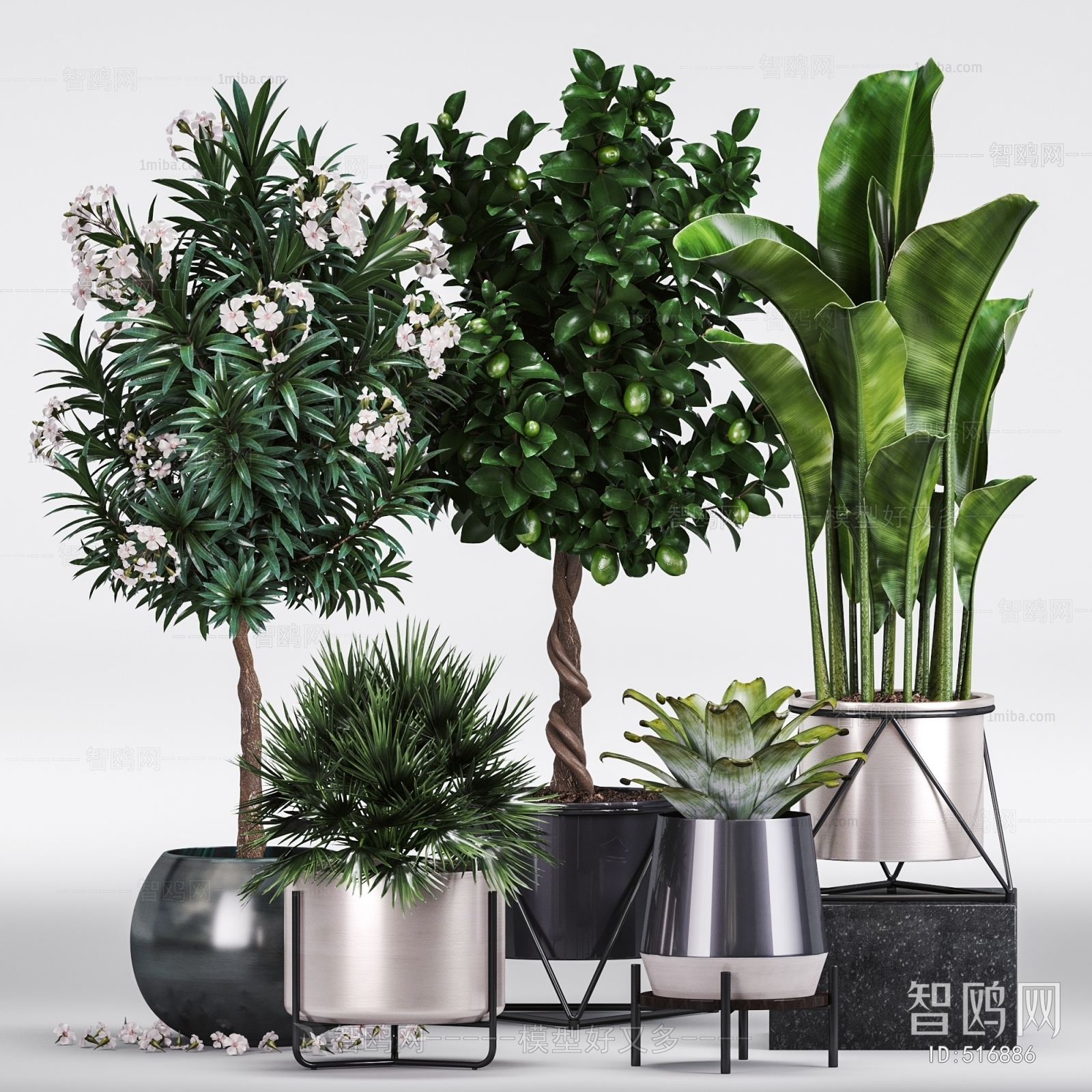 Modern Potted Green Plant