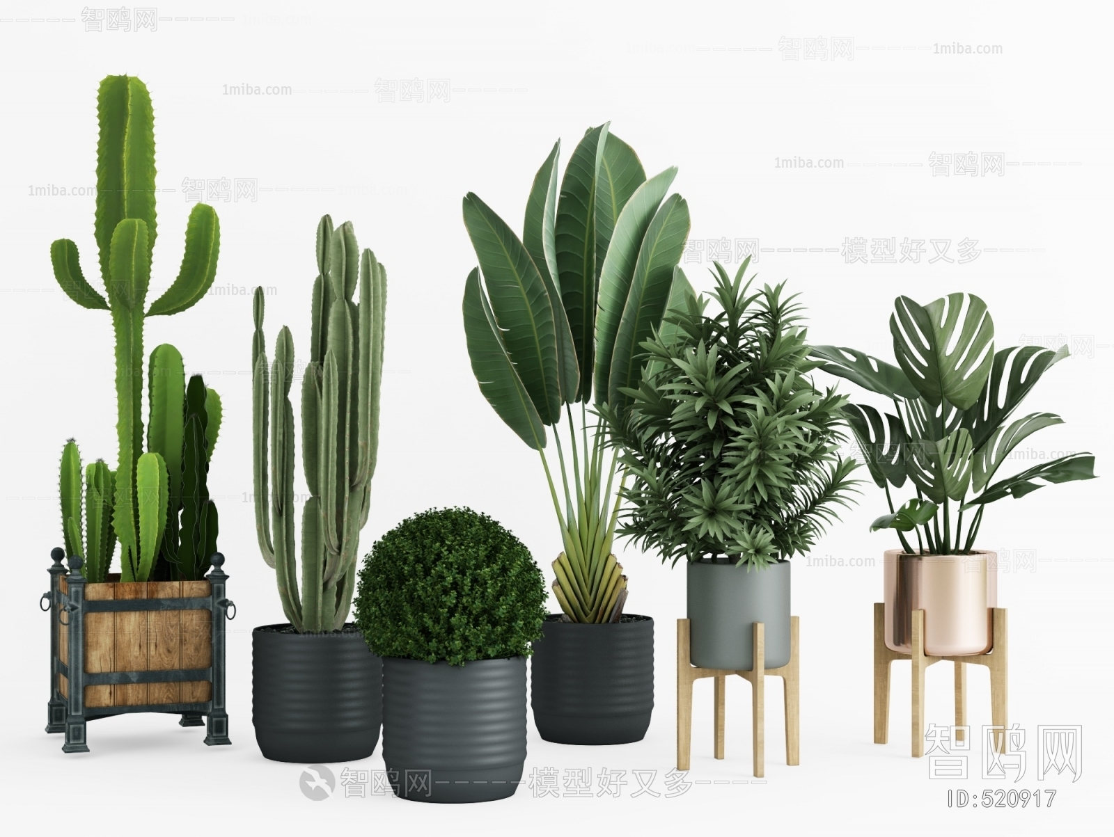 Modern Potted Green Plant