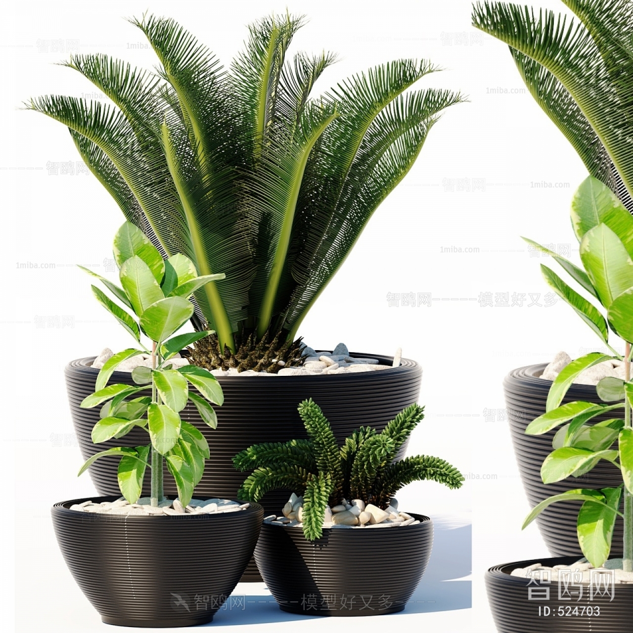 Modern Potted Green Plant