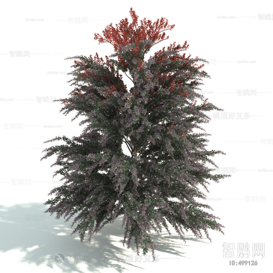 Modern Shrubbery