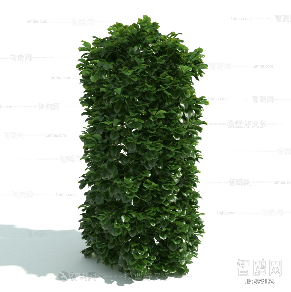 Modern Shrubbery