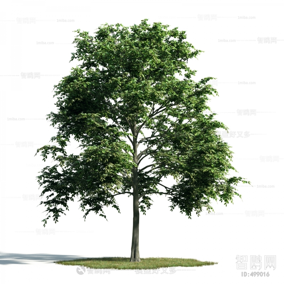 Modern Tree