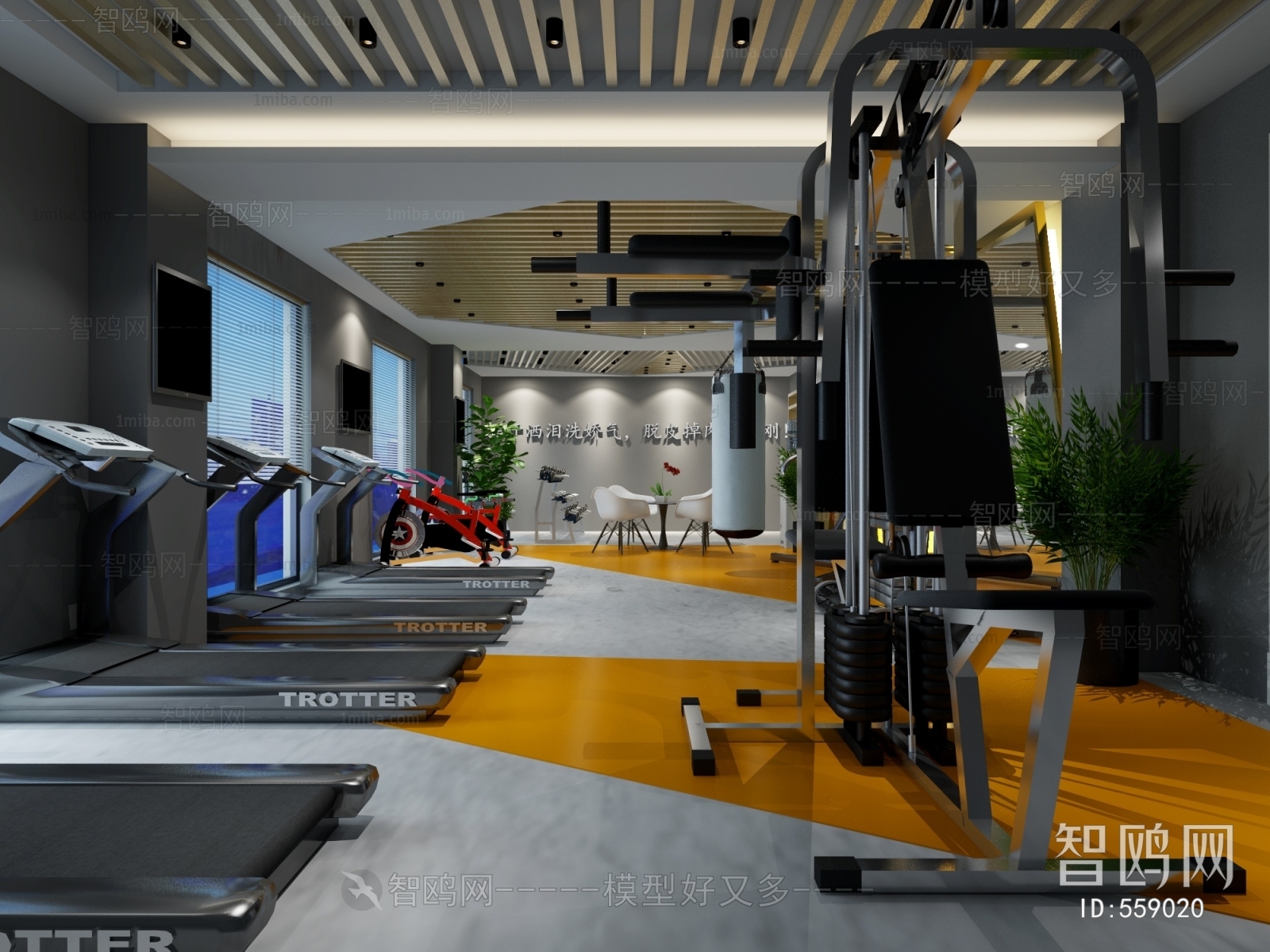 Industrial Style Gym