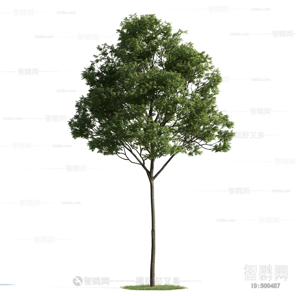 Modern Tree