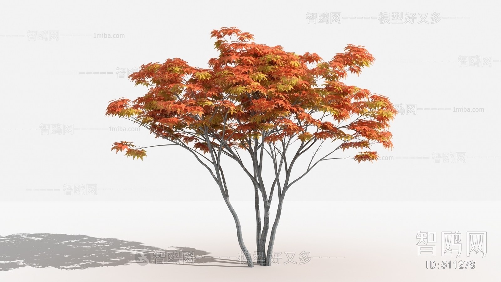 新中式红枫树