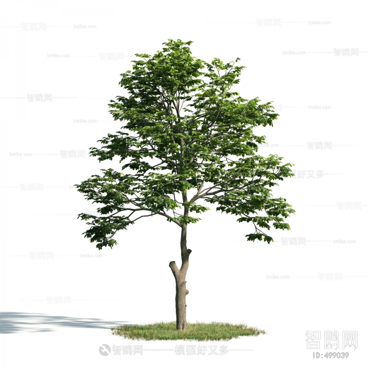 Modern Tree