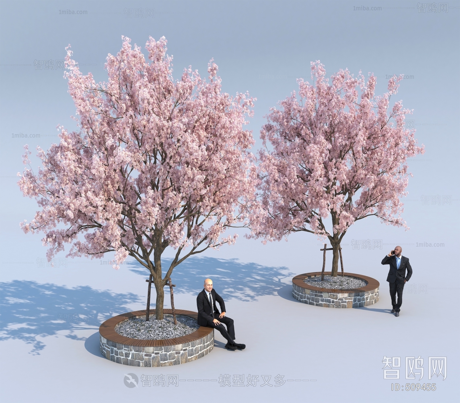 现代景观树樱花树