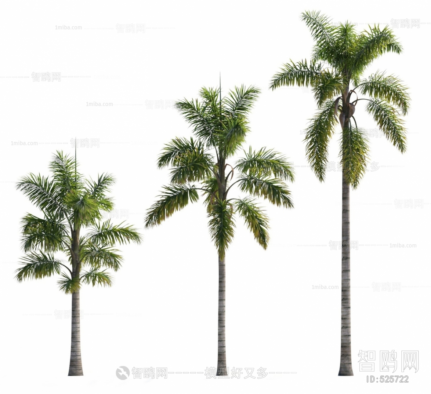 现代椰子树