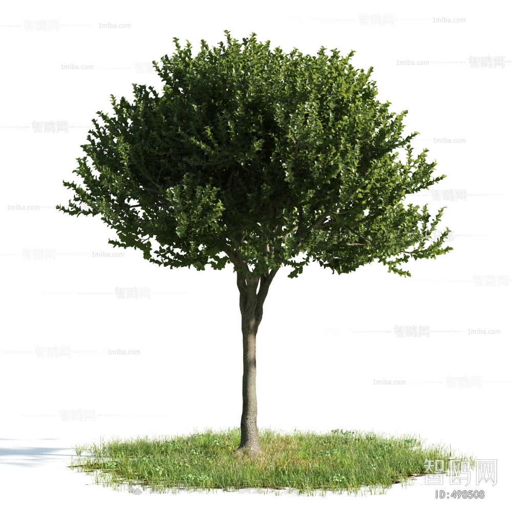 Modern Tree