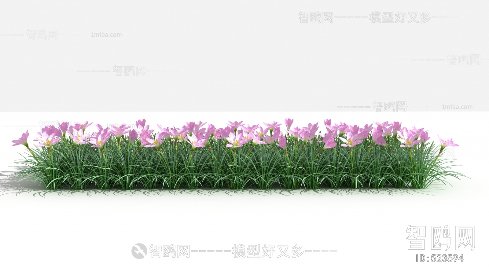 Modern Flowers And Grass