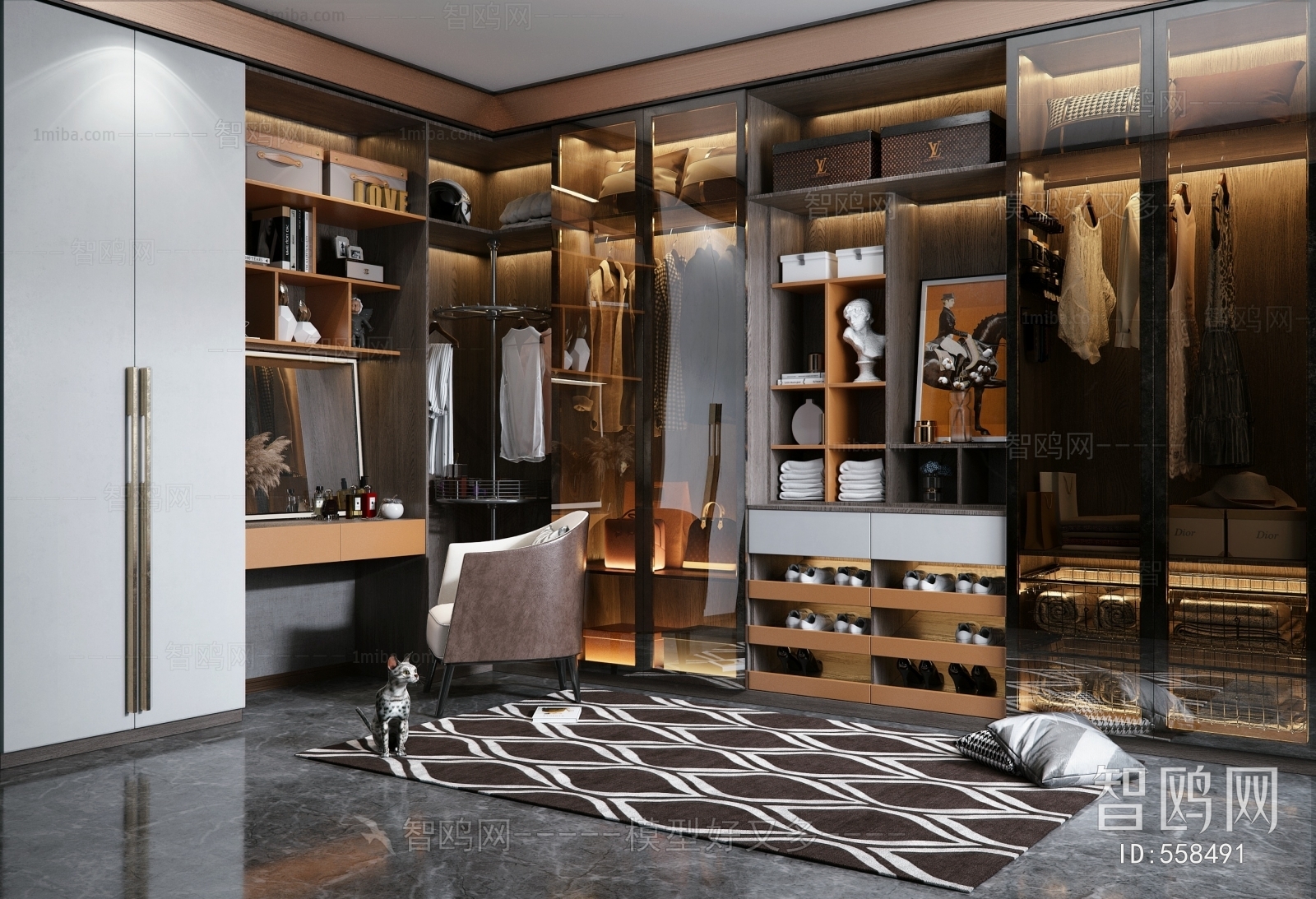 Modern Clothes Storage Area