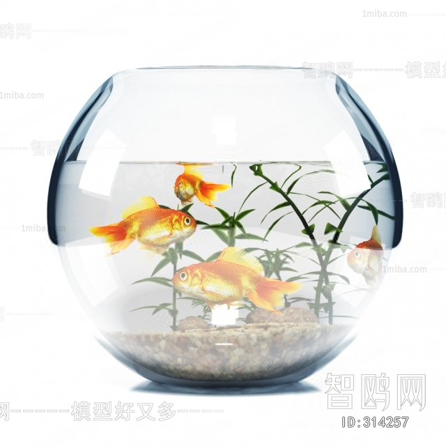 Modern Fish Tank