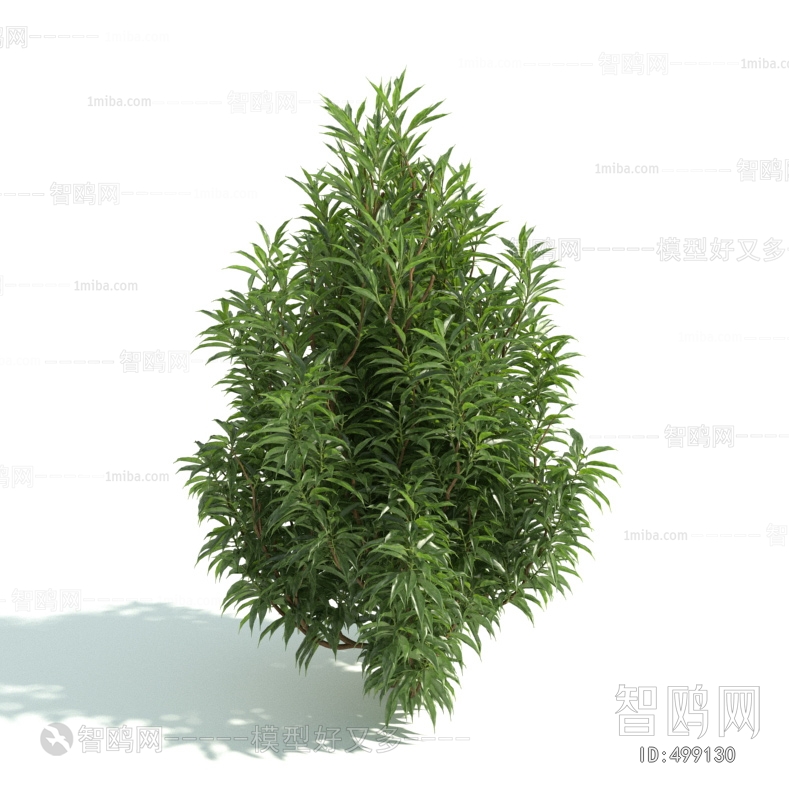 Modern Shrubbery