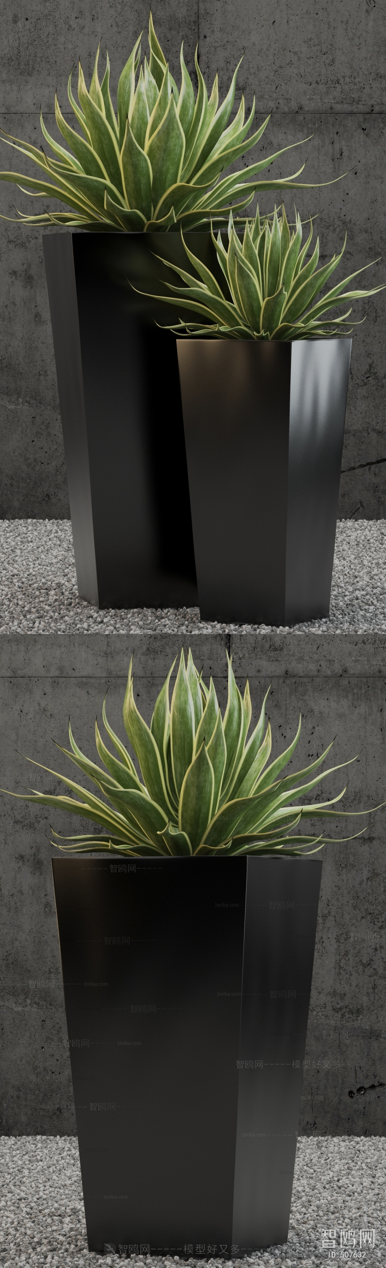 Modern Potted Green Plant