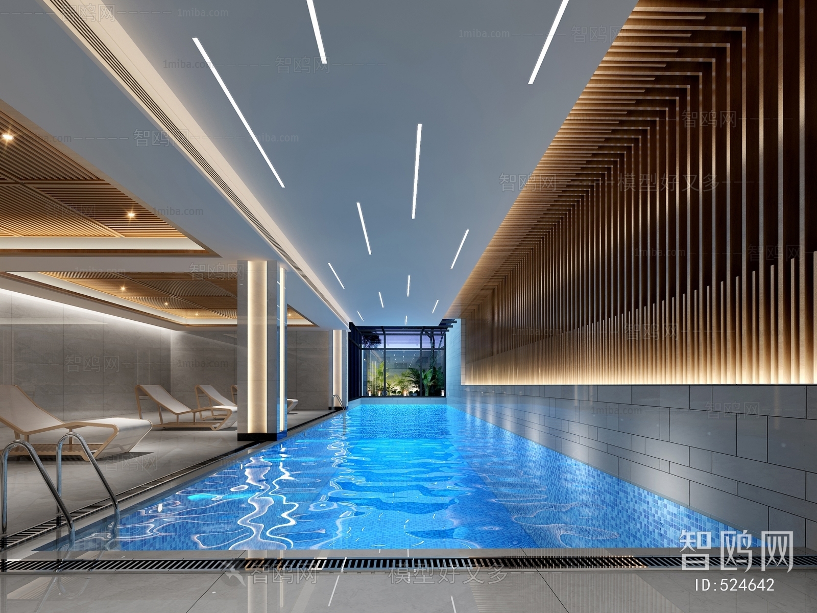 Modern Swimming Pool