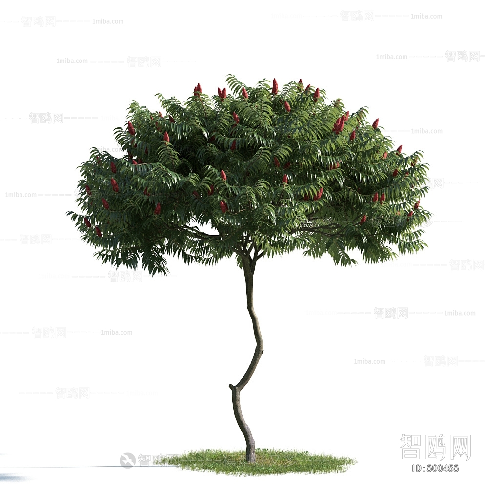 Modern Tree