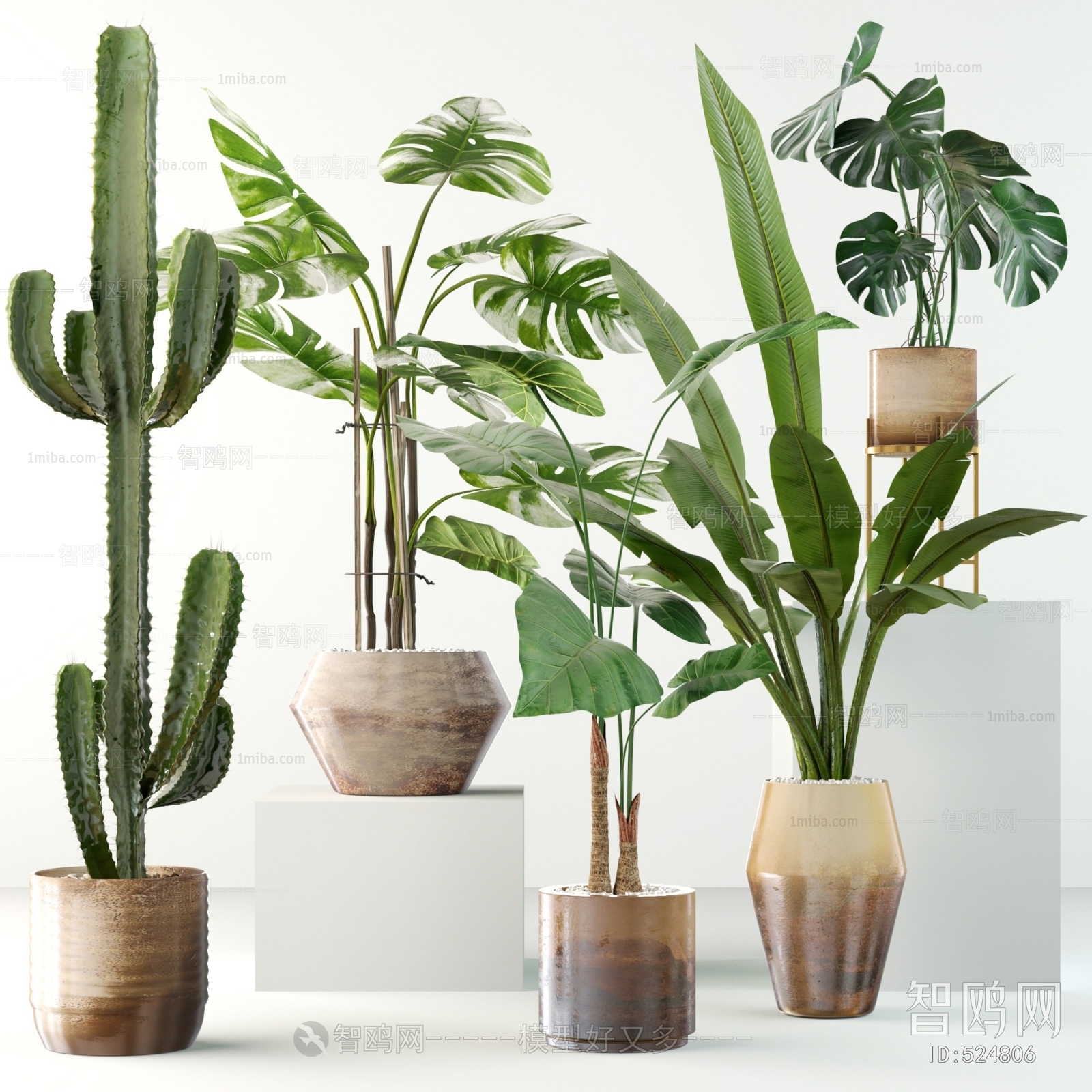 Modern Potted Green Plant