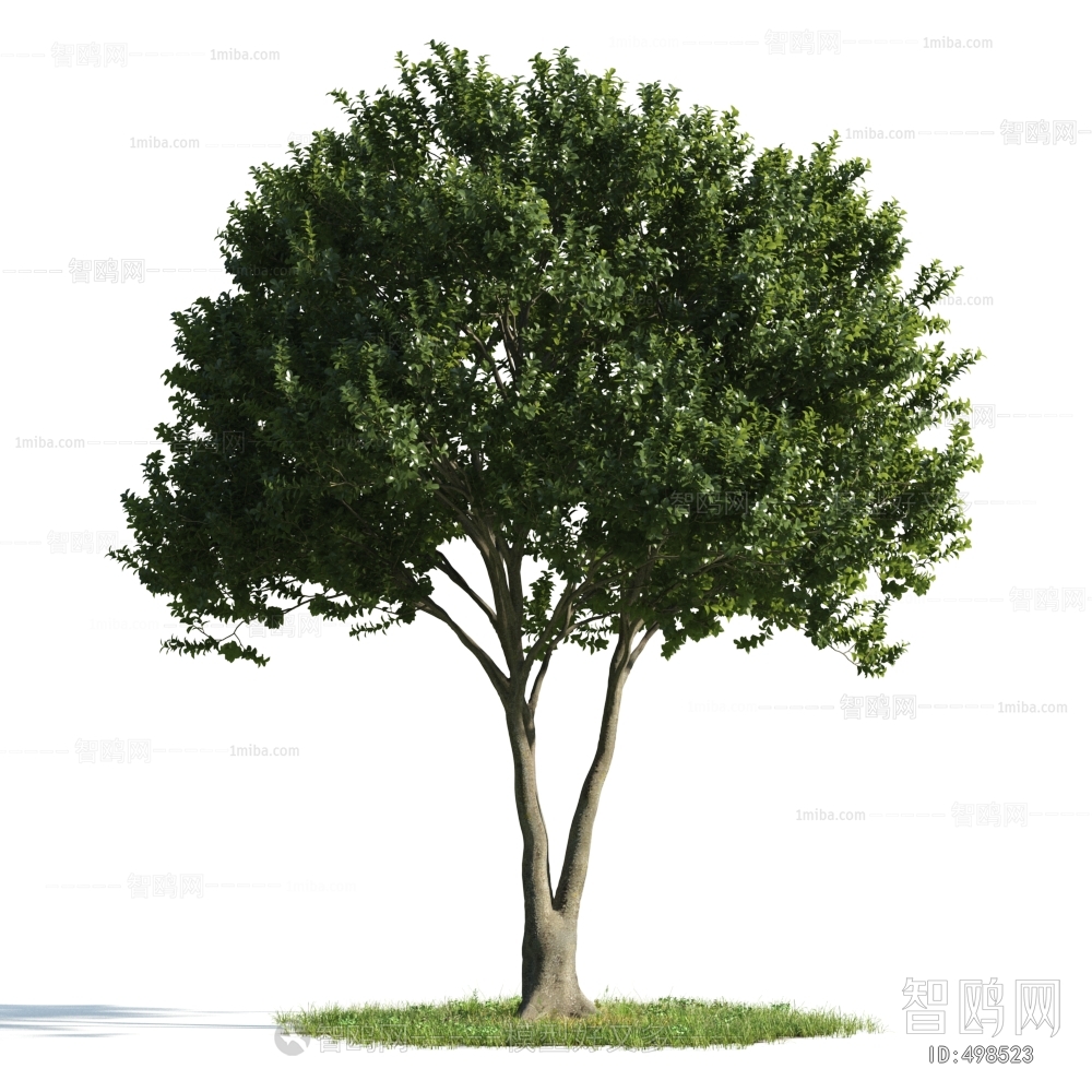 Modern Tree