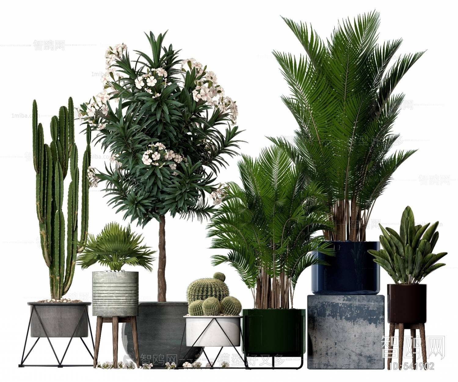 Modern Potted Green Plant